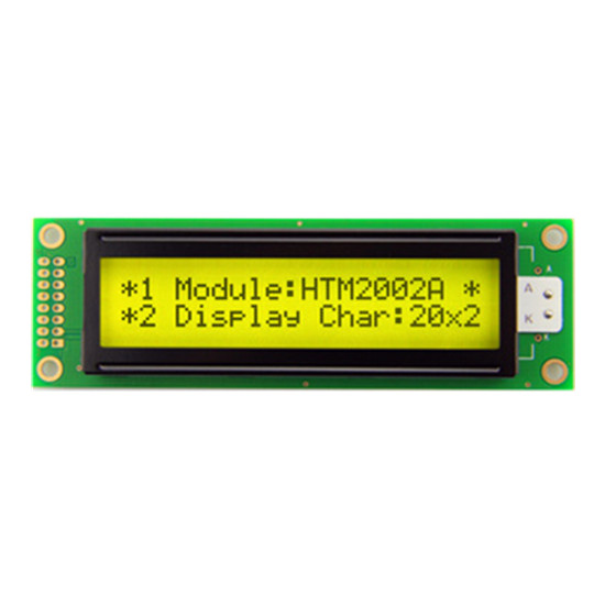 Módulo LCD COB monocromo