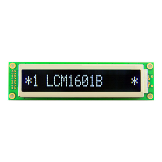 Módulo LCD COB monocromo