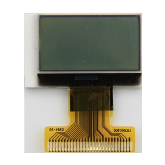 Módulo LCD COG monocromo